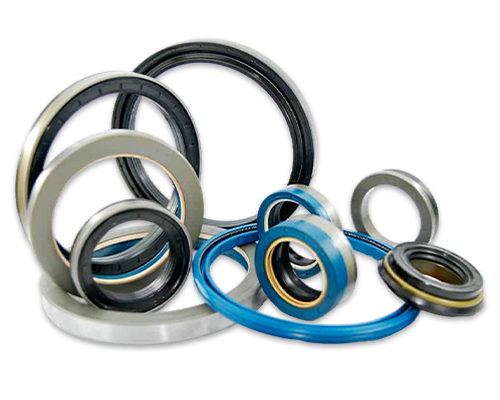 Oil Seal & O Ring